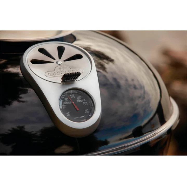 Asador Napoleon Carbon Nk 55 Cm