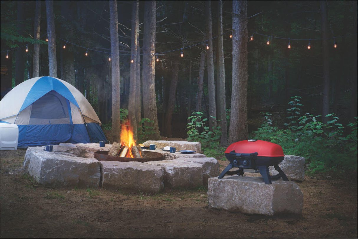 Asador Napoleon Portatil Travelq 285Rd